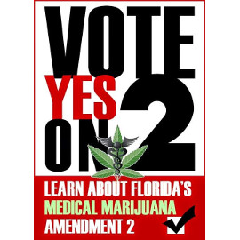 florida amendment 2
