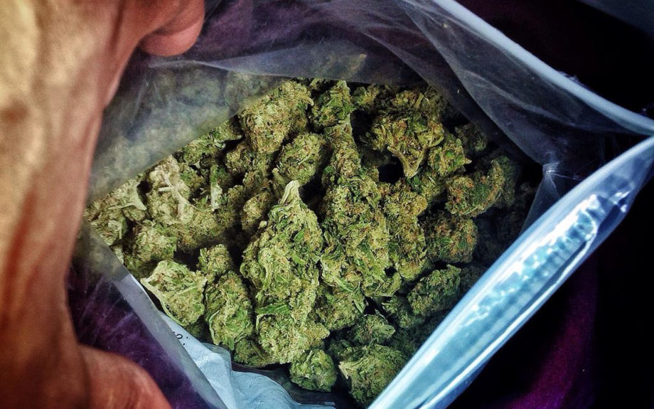 mify konople marihuane vedet narkotikam