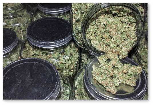 prolechivat shishki v bankah