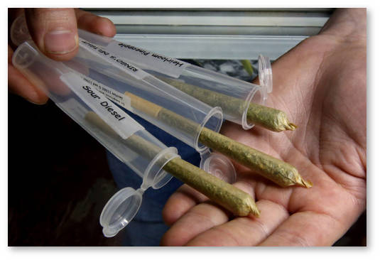 sales california 1280x800