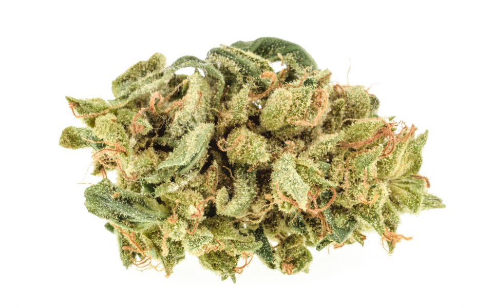 shishki kurit vredno