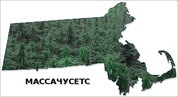 massachusets weed