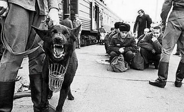 zaklyuchennye rossii