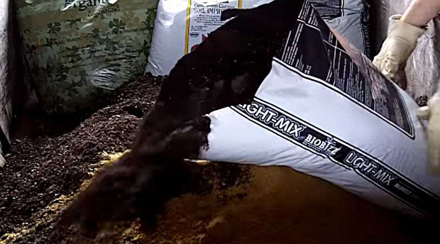 pour biobizz soil sm