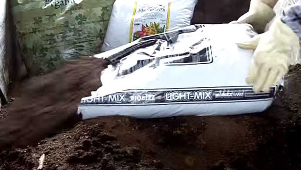 more biobizz soil sm