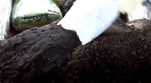 2nd bag worm castings