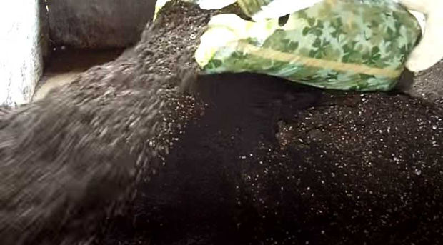 last bag roots organic soil