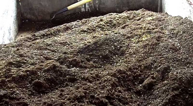 after rake it all in