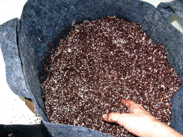 cannabis super soil into smart pot