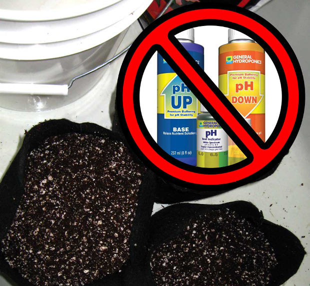 marijuana organic super soil compost with perlite