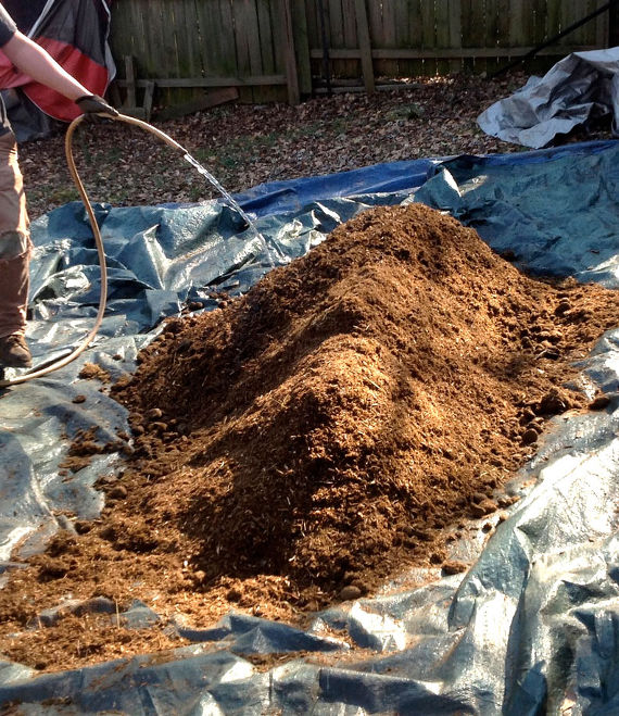 water super soil then wrap in tarp