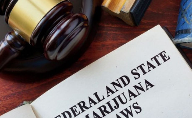 colorado protect recreational marijuana