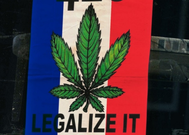 Конопля во Франции