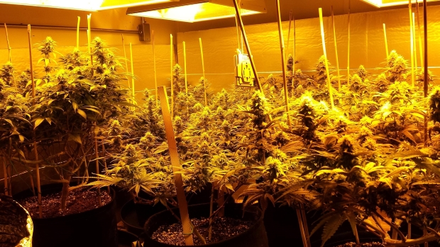 Выращивай безопасно!