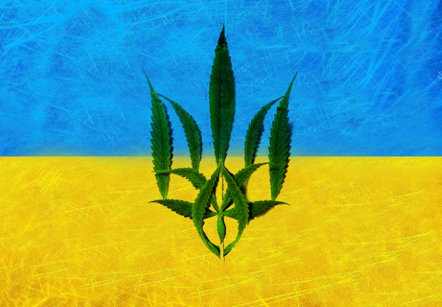 Легалайз в Украине