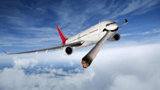 Можно провозить марихуану в самолете