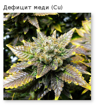 симптомы нехватки меди