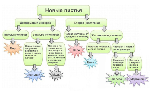 дефициты немобильных веществ