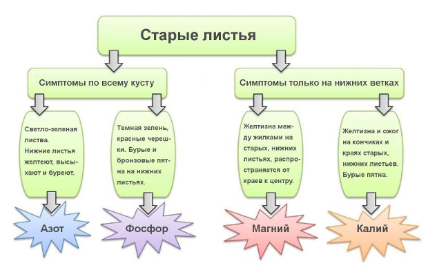 дефициты мобильных веществ