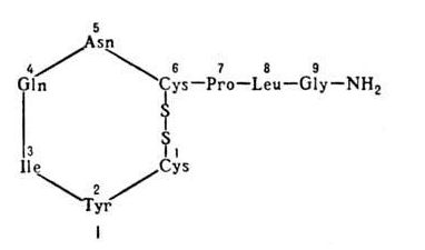 конопля секс