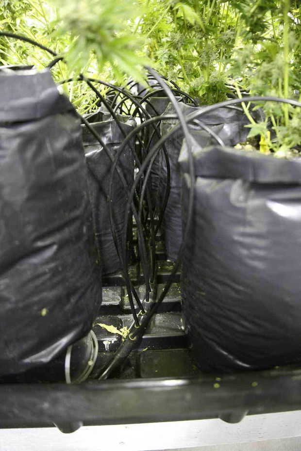 текстильные горшки что это