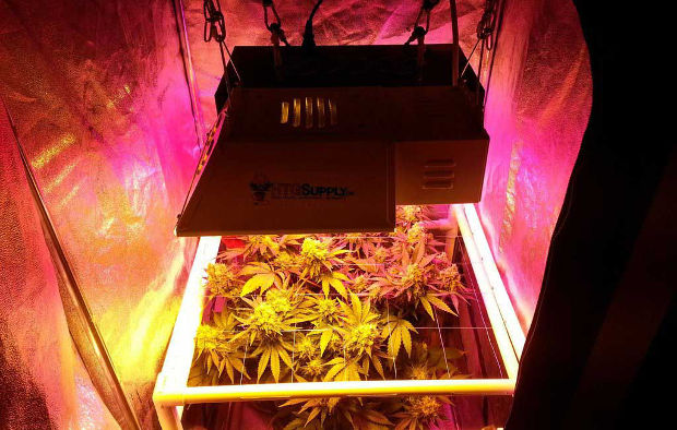 ДНАТ досвет LED