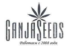 ganja seeds элитные семена конопли