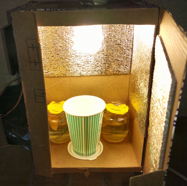 Выращивание автика под ЭСЛ