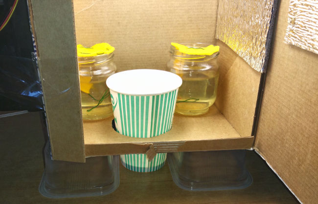 Микрогров ЭСЛ