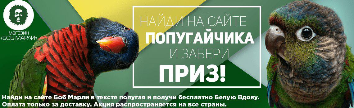 Акция в магазине семян Боб Марли - найди попугайчика и получи приз!