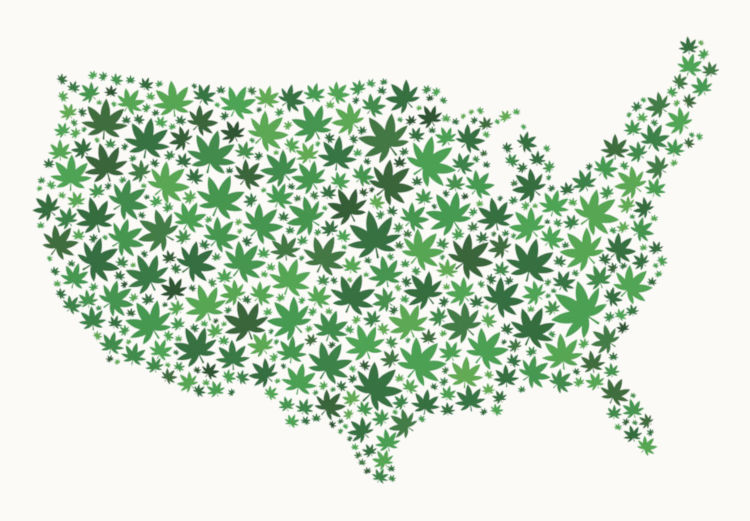 Нью Мексико и Гавайи - на пути к легализации марихуаны