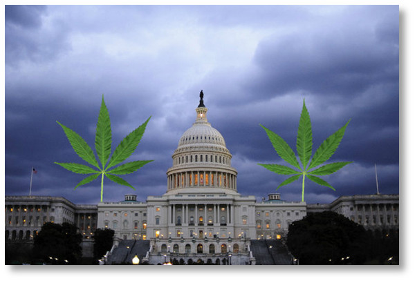 Washington-DC-marijuana-legalization