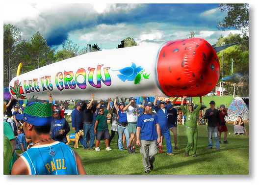 big-ass-marijuana-joint