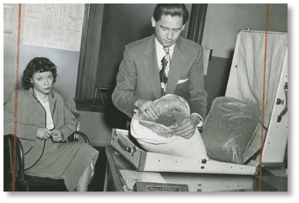 big-bags-of-marijuana