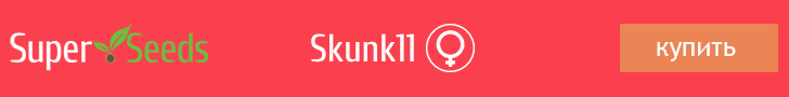 skunk11