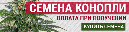 Купить семена конопли