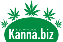 kanna.biz logo