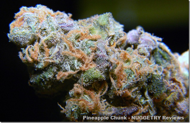 3-5-12-1000toes-pineapple-chunk-1