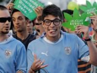 Уругвай: Полная легализация развернётся в этом месяце