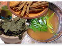 Айяуаска: Как галюциноген из амазонских лесов обретает новую популярность