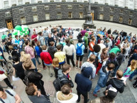 Киев потребовал декриминализации конопли в Украине