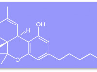 7 подтвержденных лечебных свойств ТГК
