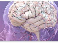 Как конопля помогла девочке с аутизмом и эпилепсией "стать человеком"