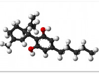 Израиль начнет исследование полезных свойств КБД при раке