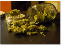 Колорадо, США: Рекреационная марихуана впервые обогнала медицинскую по объемам продаж