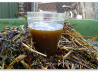 Рецепты компостного чая для выращивания конопли