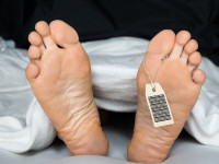 Правительство США: Легализация марихуаны - действенное средство в борьбе с опиоидной эпидемией