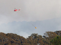 Калифорния: Конопляные фермы опустошены сезонными пожарами