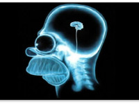 Исследование: Регулярное курение марихуаны меняет устройство вашего мозга?