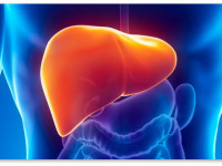 Новый взгляд на употребление марихуаны при гепатите С